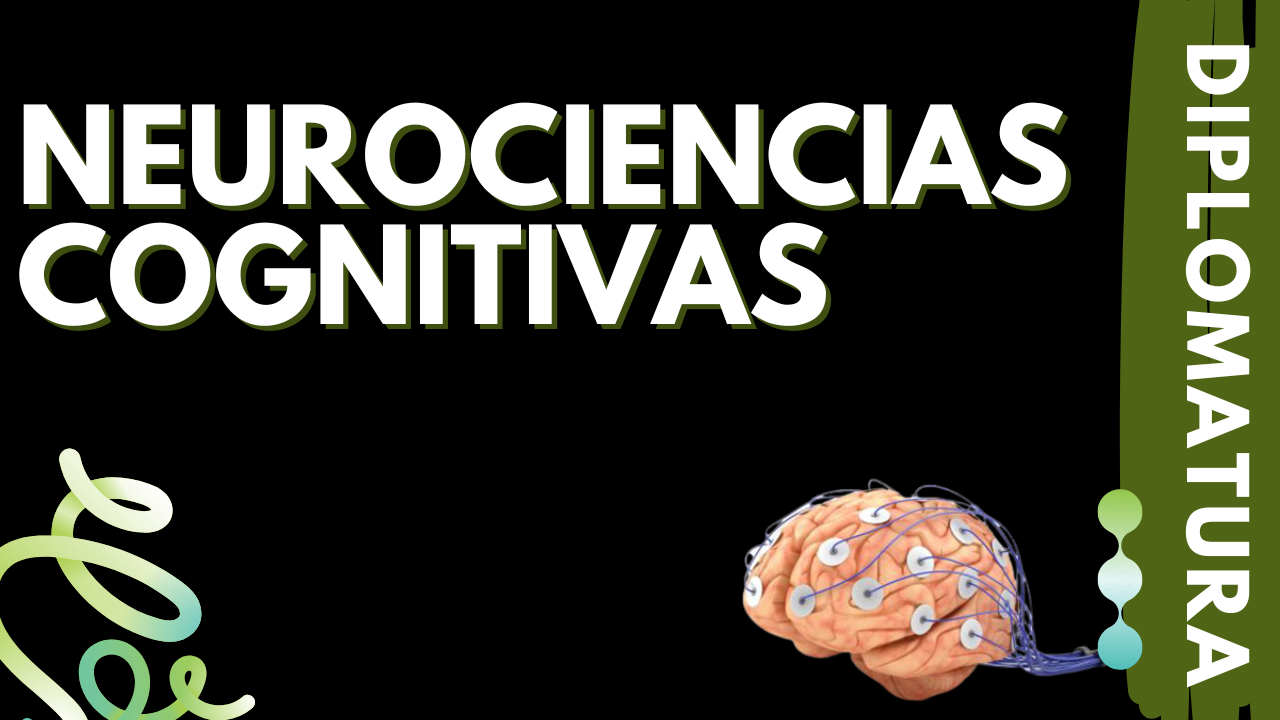 Diplomatura en Neurociencias cognitivas -Edición 2025