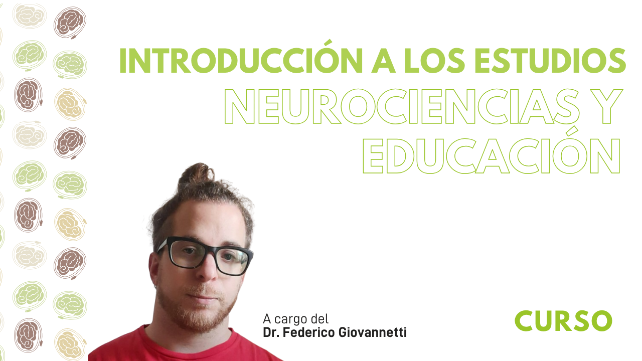 Introducción a los estudios sobre neurociencias y educación
