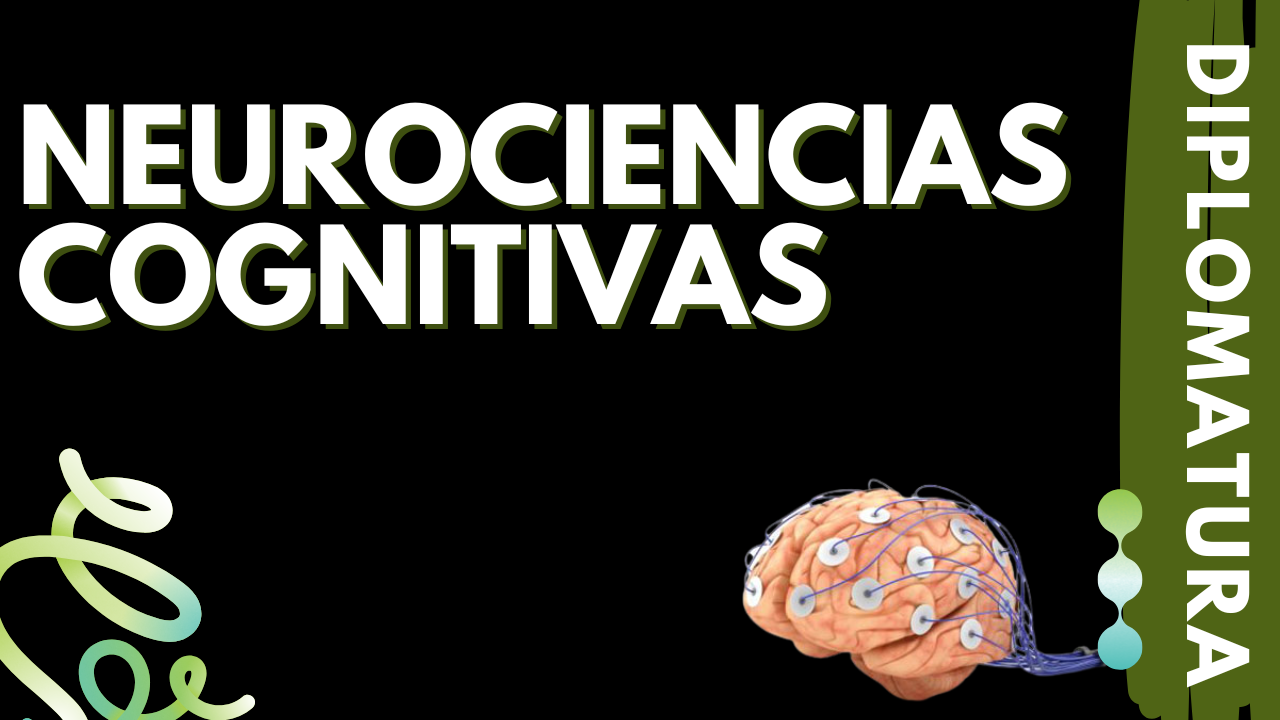 Diplomatura en Neurociencias Cognitivas 2026